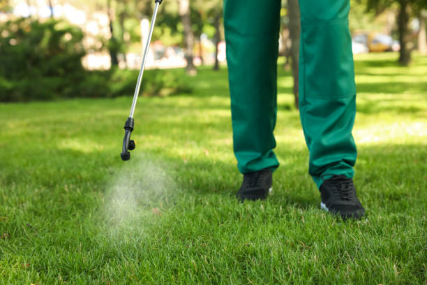 Insect Control in Lindale, TX