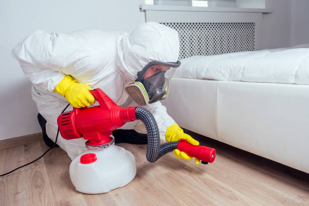 Best Flea Control Services  in Lindale, TX