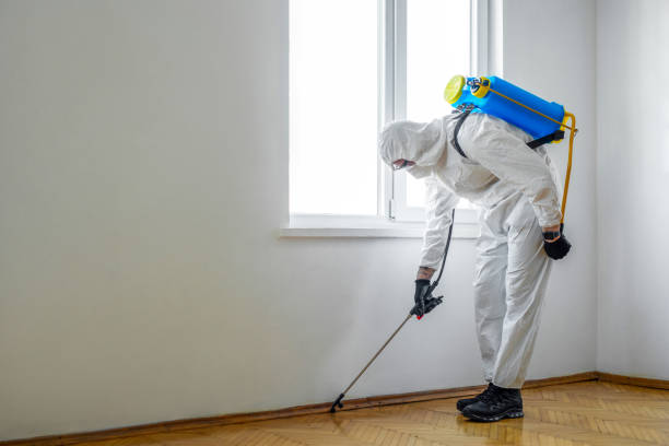 Best Flea Control Services  in Lindale, TX