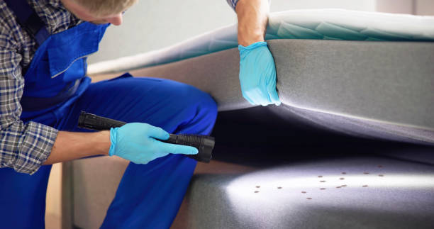 Best Pest Removal Services  in Lindale, TX