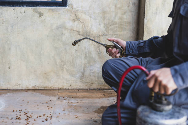 Best Commercial Pest Control Services  in Lindale, TX